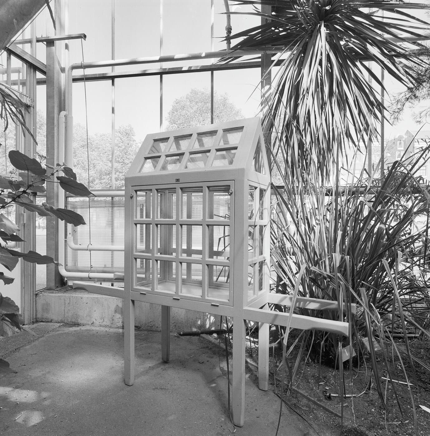 Looking into a tall glazed wooden plant case densely planted with ferns and other foliage.